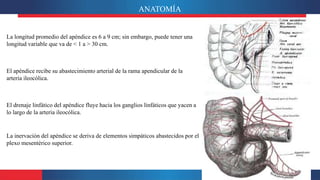 ANATOMÍA
La longitud promedio del apéndice es 6 a 9 cm; sin embargo, puede tener una
longitud variable que va de < 1 a > 30 cm.
El apéndice recibe su abastecimiento arterial de la rama apendicular de la
arteria ileocólica.
El drenaje linfático del apéndice fluye hacia los ganglios linfáticos que yacen a
lo largo de la arteria ileocólica.
La inervación del apéndice se deriva de elementos simpáticos abastecidos por el
plexo mesentérico superior.
 