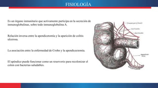 FISIOLOGÍA
Es un órgano inmunitario que activamente participa en la secreción de
inmunoglobulinas, sobre todo inmunoglobulina A.
Relación inversa entre la apendicetomía y la aparición de colitis
ulcerosa.
El apéndice puede funcionar como un reservorio para recolonizar el
colon con bacterias saludables.
La asociación entre la enfermedad de Crohn y la apendicectomía.
 