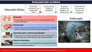 EVALUACIÓN CLÍNICA
BIBLIOGRAFÍA: Brunicardi, F. Charles (c2015). Schwartz Principios de cirugía. México: McGrawHill Education. (BCQS02112). PAG 1180-1185
Endoscopia
Anoscopia
• El anoscopio sirve para examinar el conducto anal en sus
cuatro cuadrantes
Proctoscopia
• El protoscopio es útil para examinar el recto y el colon sigmoide
distal y en ocasiones se utiliza con fines terapéuticos.
Sigmoidoscopia y colonoscopia flexibles
• Proporcionan una imagen excelente del colon y el recto Los
colonoscopios permiten examinar colon e íleon terminal.
Cápsula endoscópica
Emplea una pequeña cámara ingerible para detectar lesiones
en la mucosa gastrointestinal.
Anamnesis
completa y una
exploración
física
Antecedentes
médicos y
quirúrgicos
Es preciso
conocer con
detalle el uso
de fármacos
Inspección del
ano y perineo
Tacto rectal
cuidadoso
Valoración Clínica
 
