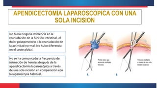 APENDICECTOMIA LAPAROSCOPICA CON UNA
SOLA INCISION
No hubo ninguna diferencia en la
reanudación de la función intestinal, el
dolor posoperatorio o la reanudación de
la actividad normal. No hubo diferencia
en el costo global.
No se ha comunicado la frecuencia de
formación de hernias después de la
apendicectomía laparoscópica a través
de una sola incisión en comparación con
la laparoscopia habitual.
 