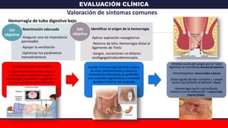 EVALUACIÓN CLÍNICA
Valoración de síntomas comunes
Reanimación adecuada
-Asegurar una vía respiratoria
permeable
-Apoyar la ventilación
-Optimizar los parámetros
hemodinámicos
1er
objetivo
Identificar el origen de la hemorragia
Aplicar aspiración nasogástrica
-Retorno de bilis: Hemorragia distal al
ligamento de Treitz
-Sangre, secreciones no biliares:
esofagogastroduodenoscopia.
2do
objetivo
Hemodinámicamente estable
Preparación intestinal para realizar
colonoscopia, identificar causa de
hemorragia y proceder a cauterizar o
inyectar epinefrina para detenerla.
Cuando la hemorragia persiste a pesar
de estas intervenciones, a veces es
necesaria la colectomía, es preferible
una resección segmentaria si se puede
localizar la fuente del sangrado
-Pérdida oculta de sangre por el tubo
digestivo se manifiesta Anemia ferropénica
-Hematoquecia= hemorroides o fisuras
-Dolor agudo de tipo cortante y sangre
rectal roja brillante al defecar= Fisura
-Hemorragia rectal roja brillante,
indolora con la defecación = hemorroide
interna friable.
Hemorragia de tubo digestivo bajo
 