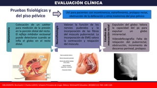 EVALUACIÓN CLÍNICA
Pruebas fisiológicas y
del piso pélvico
Manometría
Colocación de un catéter
para medición de la presión
en la porción distal del recto.
El reflejo inhibidor rectoanal
puede detectarse cuando se
infla el globo en el recto
distal.
Neurofisiología
Valoran la función de los
nervios pudendos y la
incorporación de las fibras
del músculo puborrectal. La
incorporación de EMG valora
la contracción y relajación
del músculo.
Estudios
de
evacuación
rectal
Expulsión del globo: Valora
la capacidad del px para
expulsar un globo
intrarrectal.
Videodefecografía: Falta de
relajación del puborrectal,
obstrucción, incremento de
descenso perineal, prolapso.
Útil para pacientes con incontinencia, estreñimiento, prolapso rectal,
obstrucción de la defecación y otros trastornos del piso pélvico
BIBLIOGRAFÍA: Brunicardi, F. Charles (c2015). Schwartz Principios de cirugía. México: McGrawHill Education. (BCQS02112). PAG 1180-1185
 