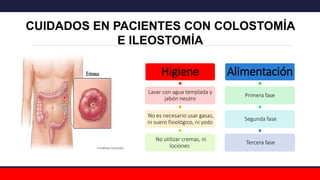 CUIDADOS EN PACIENTES CON COLOSTOMÍA
E ILEOSTOMÍA
Higiene
Lavar con agua templada y
jabón neutro
No es necesario usar gasas,
ni suero fisiológico, ni yodo
No utilizar cremas, ni
lociones
Alimentación
Primera fase
Segunda fase
Tercera fase
 