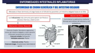 Las indicaciones más comunes para operar son fístula o
absceso internos y obstrucción. Controlarse la septicemia mediante
drenaje percutáneo del absceso y con
antibióticos,
Obstrucción Crónica: Resección
-Estenosis cortas: Plastia
-Estenosis largas: Anastomosis laterolateral
del ID.
ENFERMEDADES INTESTINALES INFLAMATORIAS
ENFERMEDAD DE CROHN ILEOCÓLICA Y DEL INTESTINO DELGADO
Afectados el íleon terminal y el ciego hasta en el 41% de los pacientes y el intestino delgado hasta en el 35%.
Absceso del Psoas
-Paciente Estable: Rescatarse segmentos
cortos del intestino delgado y colon derecho
inflamado (anastomosis primaria).
-Estenosis aislada: Extirpación
-Múltiples estenosis: Plastia
 
