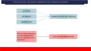 FISIOLOGÌA:ÁCIDOS GRASOS DE CADENA CORTA
ACETATO
PROPIONATO
BUTIRATO FERMENTACIÓN BACTERIANA
Falta de fuente alimentaria
o la derivación del flujo
fecal por una ileostomía o
colostomía
COLITIS POR DERIVACIÓN
FISIOLOGÌA: ÁCIDOS GRASOS DE CADENA CORTA
 