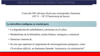 La microflora endógena es crucial para
• La degradación de carbohidratos y proteínas en el colon;
• Metabolismo de la bilirrubina, ácidos biliares, estrógeno y colesterol.
• Sintetizar vitamina K.
• Se cree que suprimen el surgimiento de microorganismos patógenos, como
Clostridium difficile, un fenómeno llamado “resistencia a la colonización”
Cerca del 30% del peso fecal seco corresponde a bacterias
(10^11 – 10^12 bacterias/g de heces).
FISIOLOGÌA: MICROFLOA COLÓNICA Y GAS INTESTINAL
 