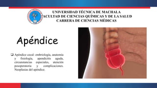 Apéndice
 Apéndice cecal: embriología, anatomía
y fisiología, apendicitis aguda,
circunstancias especiales, atención
posoperatoria y complicaciones.
Neoplasias del apéndice.
UNIVERSIDAD TÉCNICA DE MACHALA
FACULTAD DE CIENCIAS QUÍMICAS Y DE LA SALUD
CARRERA DE CIENCIAS MÉDICAS
 