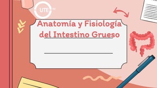 Anatomía y Fisiología
del Intestino Grueso
 