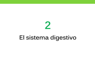 2
El sistema digestivo
 