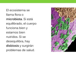 El ecosistema se
llama flora o
microbiota. Si está
equilibrado, el cuerpo
funciona bien y
estamos bien
nutridos. Si se
desequilibra, hay
disbiosis y surgirán
problemas de salud.
 