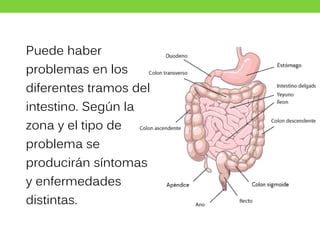 Puede haber
problemas en los
diferentes tramos del
intestino. Según la
zona y el tipo de
problema se
producirán síntomas
y enfermedades
distintas.
 