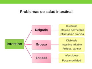 Problemas de salud intestinal
Intestino
Delgado
Infección
Intestino permeable
Inflamación crónica
Grueso
Disbiosis
Intestino irritable
Pólipos, cáncer
En todo
Infecciones
Poca movilidad
 