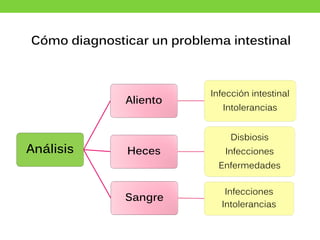 Cómo diagnosticar un problema intestinal
Análisis
Aliento
Infección intestinal
Intolerancias
Heces
Disbiosis
Infecciones
Enfermedades
Sangre
Infecciones
Intolerancias
 