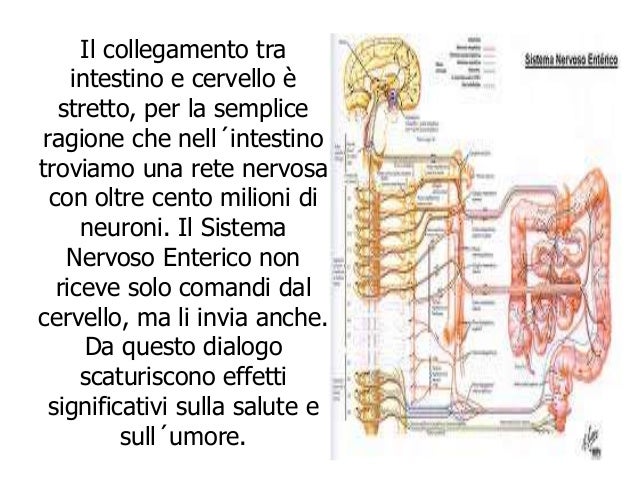 Dolore in reparto di petto a giro della testa