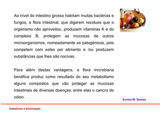 Ao nível do intestino grosso habitam muitas bactérias e
fungos, a flora intestinal, que digerem resíduos que o
organismo não aproveitou, produzem vitaminas K e do
complexo B, protegem as mucosas de outros
microorganismos, nomeadamente os patogénicos, pois
competem com estes por alimento e /ou produzem
substâncias que lhes são nocivas.
Para além destas vantagens, a flora microbiana
benéfica produz como resultado do seu metabolismo
alguns compostos que vão proteger as mucosas
intestinais de diversas doenças, entre elas o cancro do
cólon.
Intestinos e eliminação
Eunice M. Santos
 
