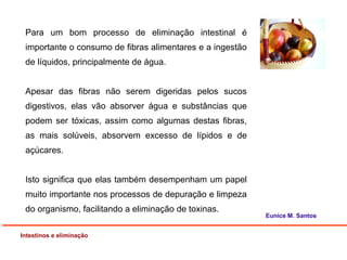 Para um bom processo de eliminação intestinal é
importante o consumo de fibras alimentares e a ingestão
de líquidos, principalmente de água.
Apesar das fibras não serem digeridas pelos sucos
digestivos, elas vão absorver água e substâncias que
podem ser tóxicas, assim como algumas destas fibras,
as mais solúveis, absorvem excesso de lípidos e de
açúcares.
Isto significa que elas também desempenham um papel
muito importante nos processos de depuração e limpeza
do organismo, facilitando a eliminação de toxinas.
Intestinos e eliminação
Eunice M. Santos
 