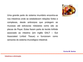 Uma grande parte do sistema imunitário encontra-se
nos intestinos onde se estabelecem relações fortes e
complexas, desde anticorpos que protegem as
mucosas até estruturas nódulares como são as
placas de Peyer. Estas fazem parte do tecido linfóide
associado ao intestino (em inglês GALT – Gut
Associated Linfoid Tissue) e funcionam como
sensores do sistema imunológico intestinal.
Intestinos e eliminação
Eunice M. Santos
 