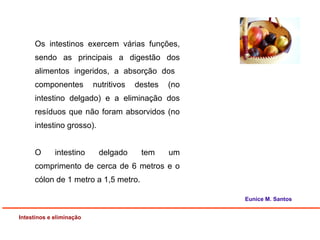 Os intestinos exercem várias funções,
sendo as principais a digestão dos
alimentos ingeridos, a absorção dos
componentes nutritivos destes (no
intestino delgado) e a eliminação dos
resíduos que não foram absorvidos (no
intestino grosso).
O intestino delgado tem um
comprimento de cerca de 6 metros e o
cólon de 1 metro a 1,5 metro.
Intestinos e eliminação
Eunice M. Santos
 
