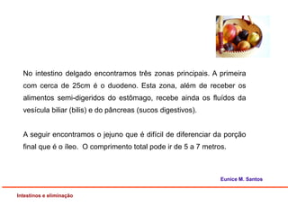 No intestino delgado encontramos três zonas principais. A primeira
com cerca de 25cm é o duodeno. Esta zona, além de receber os
alimentos semi-digeridos do estômago, recebe ainda os fluídos da
vesícula biliar (bilis) e do pâncreas (sucos digestivos).
A seguir encontramos o jejuno que é difícil de diferenciar da porção
final que é o íleo. O comprimento total pode ir de 5 a 7 metros.
Intestinos e eliminação
Eunice M. Santos
 