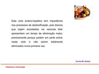 Este ciclo entero-hepático tem importância
nos processos de destoxificação, pois tóxicos
que sejam excretados via vesícula bilar
apresentam um tempo de eliminação maior,
precisamente porque podem em parte entrar
neste ciclo e não serem totalmente
eliminados numa primeira vez.
Intestinos e eliminação
Eunice M. Santos
 
