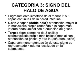 CATEGORIA 3: SIGNO DEL
        HALO DE AGUA
• Engrosamiento simètrico de al menos 2 o 3
  capas continuas de la pared inte...