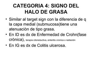 CATEGORIA 4: SIGNO DEL
        HALO DE GRASA
• Similar al target sign con la diferencia de q
  la capa medial (submucosa)t...
