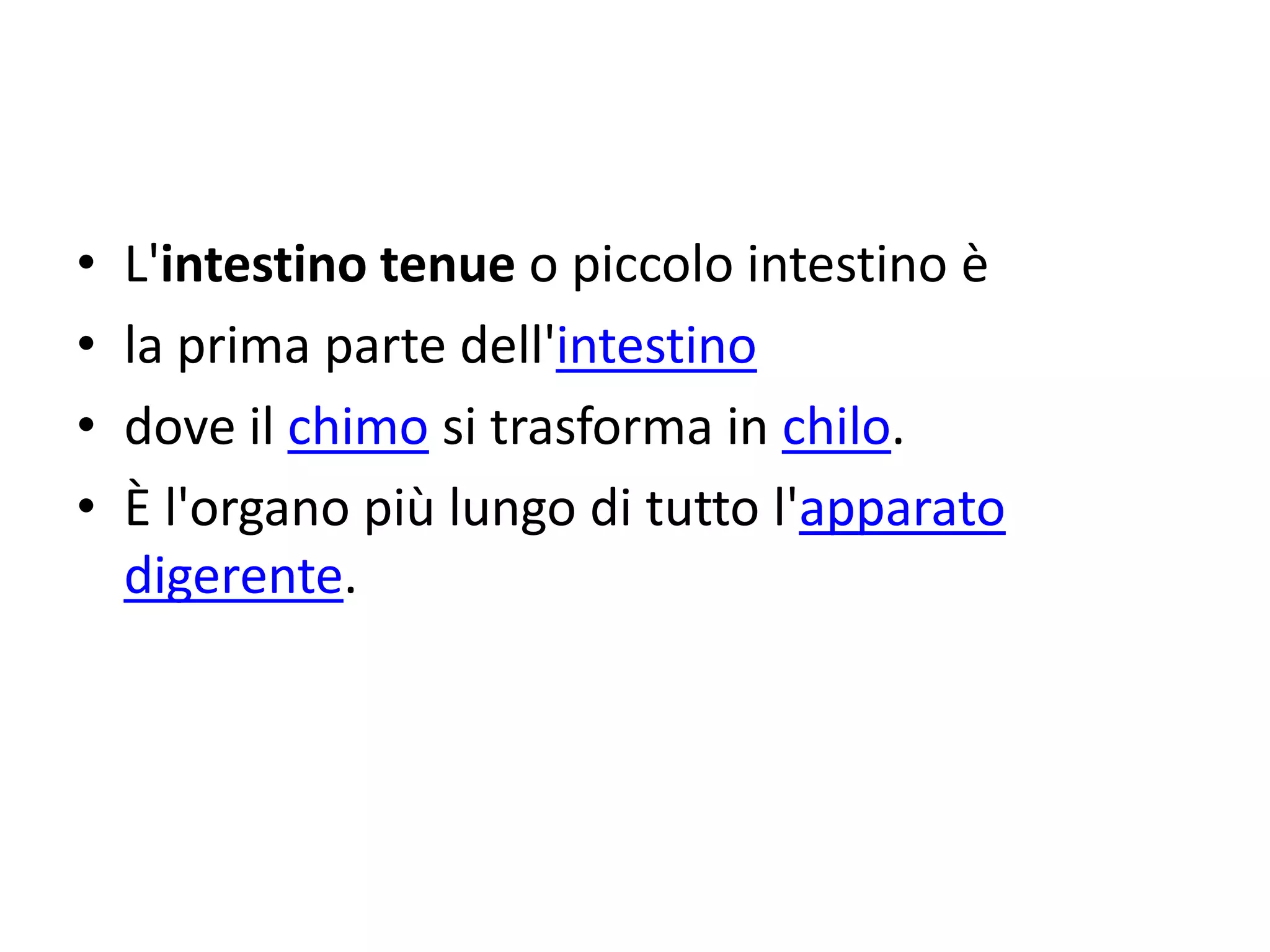 Chilo Model Intestino tenue | PPTX