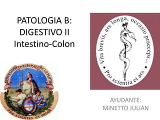 PATOLOGIA B:
DIGESTIVO II
Intestino-Colon
AYUDANTE:
MINETTO JULIAN
 