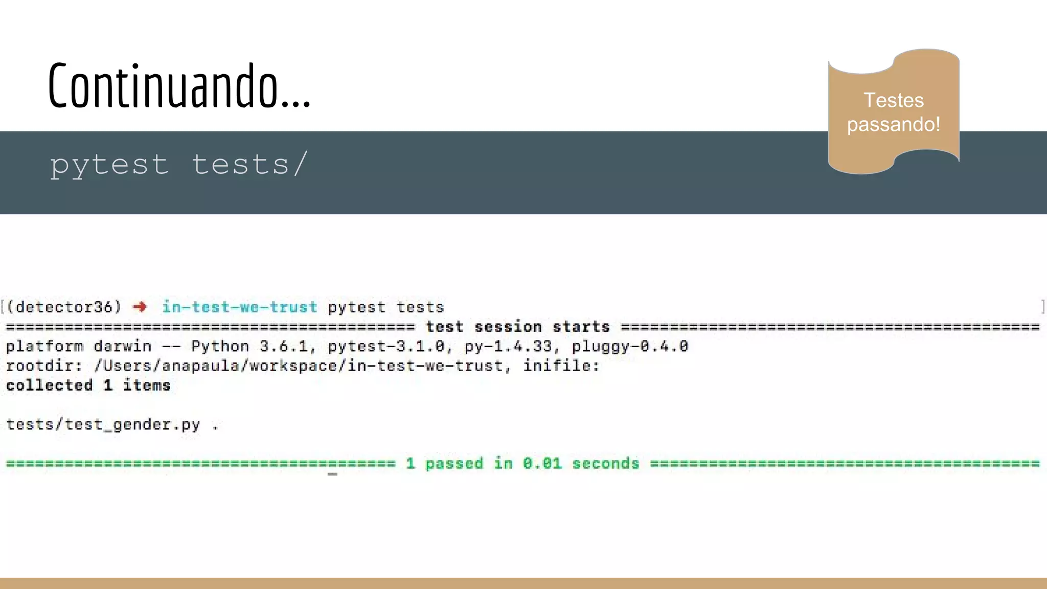 Continuando...
pytest tests/
Testes
passando!
 