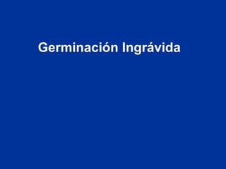 Germinación Ingrávida
 