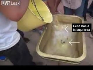 Echa hacia
la izquierda
 