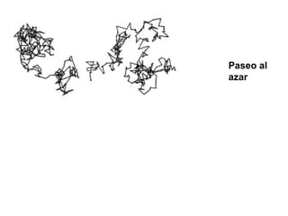 Paseo al
azar
 