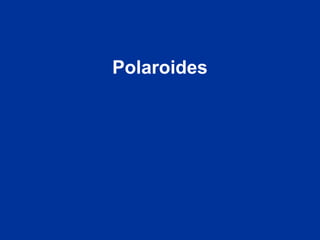 Polaroides
 
