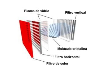 Placas de vidrio
Filtro vertical
Molécula cristalina
Filtro horizontal
Filtro de color
 