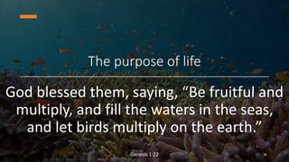 The purpose of life
God blessed them, saying, “Be fruitful and
multiply, and fill the waters in the seas,
and let birds mu...