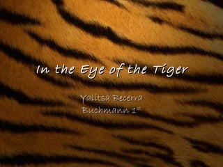 In the Eye of the Tiger Yalitsa Becerra Buchmann 1 st 