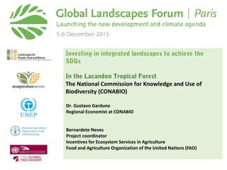 Investing in integrated landscapes to achieve the
SDGs
In the Lacandon Tropical Forest
The National Commission for Knowled...