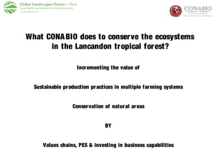What CONABIO does to conserve the ecosystems
in the Lancandon tropical forest?
Incrementing the value of
Sustainable produ...