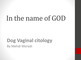 In the name of GOD
Dog Vaginal citology
By Mehdi Moradi
 