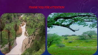 THANKYOUFORATTENTION
 