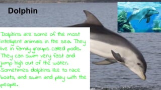 Dolphin
Dolphins are some of the most
intelligent animals in the sea. They
live in family groups called pods.
They can swim very fast and
jump high out of the water.
Sometimes dolphins like to race
boats, and swim and play with the
people.
 