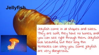 Jellyfish
Jellyfish come in all shapes and sizes.
They are soft, they have no bones, and
you can see right through them. Jellyfish
look beautiful, but their long thin
tentacles can sting you. Some jellyfish
are very dangerous.
 
