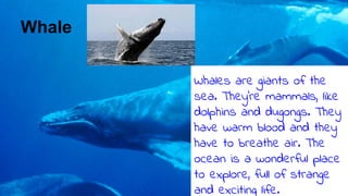 Whale
Whales are giants of the
sea. They’re mammals, like
dolphins and dugongs. They
have warm blood and they
have to breathe air. The
ocean is a wonderful place
to explore, full of strange
and exciting life.
 