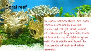 Coral reef
In warm oceans there are coral
reefs. Coral reefs look like
rocks, but they’re really made
of millions of tiny animals. Coral
needs a lot of sunlight to grow
well. Coral reefs are home to
thousands of fish and other
animals.
 