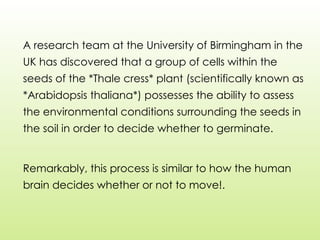 A research team at the University of Birmingham in the
UK has discovered that a group of cells within the
seeds of the *Thale cress* plant (scientifically known as
*Arabidopsis thaliana*) possesses the ability to assess
the environmental conditions surrounding the seeds in
the soil in order to decide whether to germinate.
Remarkably, this process is similar to how the human
brain decides whether or not to move!.
 