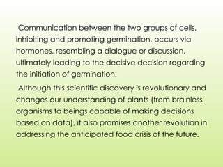 Communication between the two groups of cells,
inhibiting and promoting germination, occurs via
hormones, resembling a dialogue or discussion,
ultimately leading to the decisive decision regarding
the initiation of germination.
Although this scientific discovery is revolutionary and
changes our understanding of plants (from brainless
organisms to beings capable of making decisions
based on data), it also promises another revolution in
addressing the anticipated food crisis of the future.
 