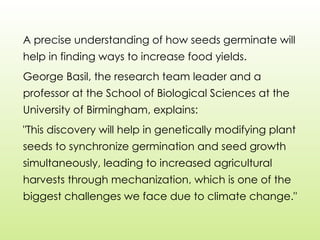 A precise understanding of how seeds germinate will
help in finding ways to increase food yields.
George Basil, the research team leader and a
professor at the School of Biological Sciences at the
University of Birmingham, explains:
"This discovery will help in genetically modifying plant
seeds to synchronize germination and seed growth
simultaneously, leading to increased agricultural
harvests through mechanization, which is one of the
biggest challenges we face due to climate change."
 