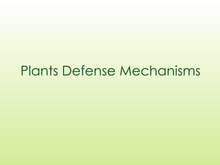Plants Defense Mechanisms
 