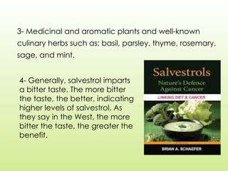 3- Medicinal and aromatic plants and well-known
culinary herbs such as: basil, parsley, thyme, rosemary,
sage, and mint.
4- Generally, salvestrol imparts
a bitter taste. The more bitter
the taste, the better, indicating
higher levels of salvestrol. As
they say in the West, the more
bitter the taste, the greater the
benefit.
 
