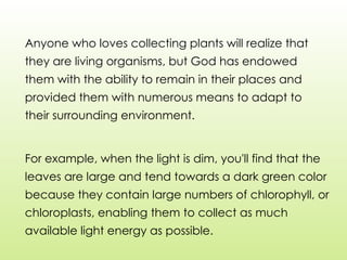 Anyone who loves collecting plants will realize that
they are living organisms, but God has endowed
them with the ability to remain in their places and
provided them with numerous means to adapt to
their surrounding environment.
For example, when the light is dim, you'll find that the
leaves are large and tend towards a dark green color
because they contain large numbers of chlorophyll, or
chloroplasts, enabling them to collect as much
available light energy as possible.
 